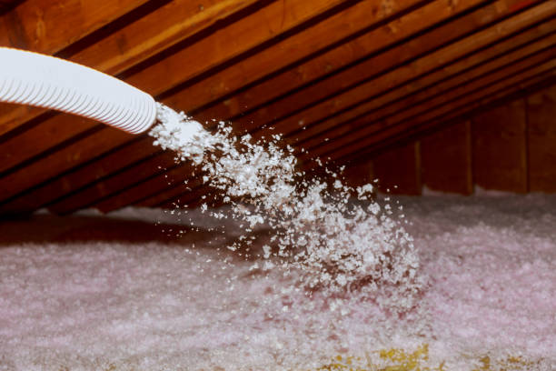 Best Fiberglass Insulation  in Wamac, IL