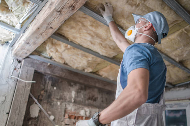 Best Insulation Removal Services  in Wamac, IL