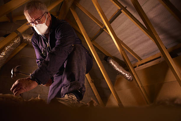 Best Insulation Removal  in Wamac, IL